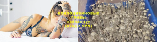 хмурый Абинск