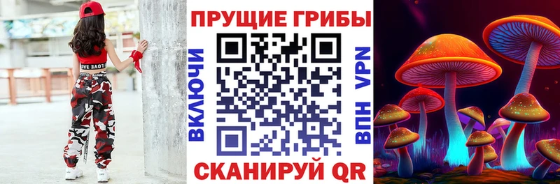 купить наркотики цена  Серафимович  кракен маркетплейс  Псилоцибиновые грибы ЛСД 